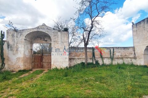 Landejendom i Carovigno, Brindisi, Carovigno - € 3.500.000 | Ref: 122559 - foto 6